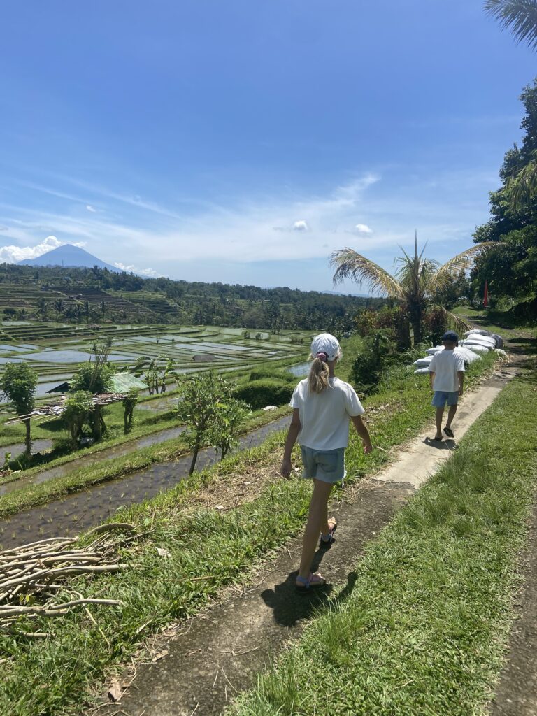 Dutch expat family walking through the rice fields in Ubud 2023
