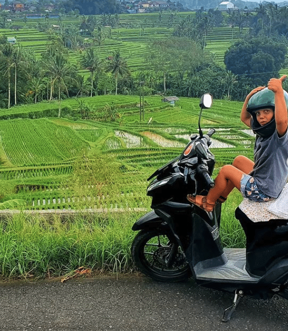 Scooter in Rice Field